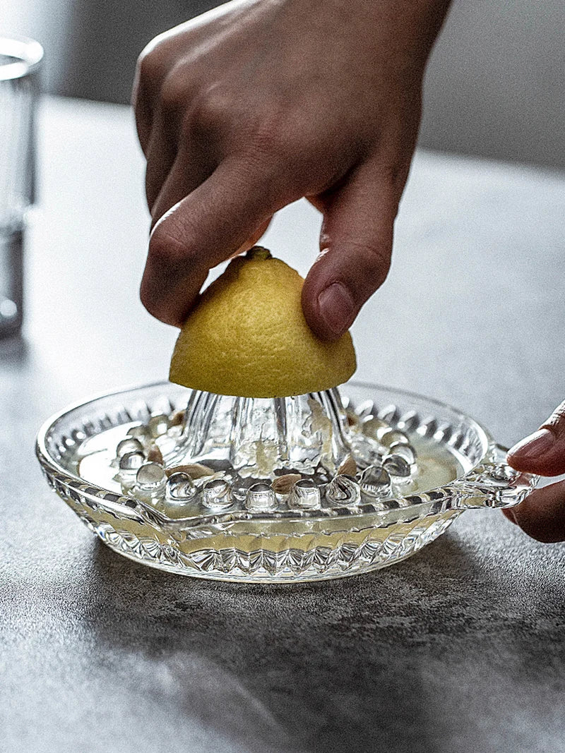 Citrus Juicer